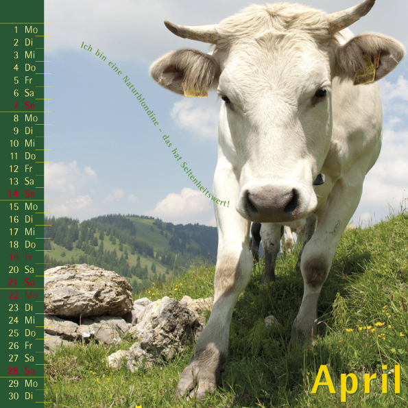 Kuhlender 2019  Kalenderblatt April